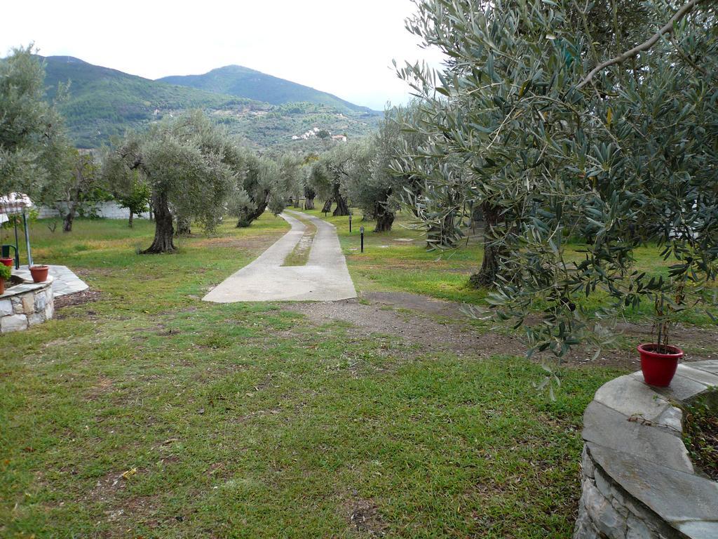 Liossis Rooms and Apartments Σκόπελος Εξωτερικό φωτογραφία