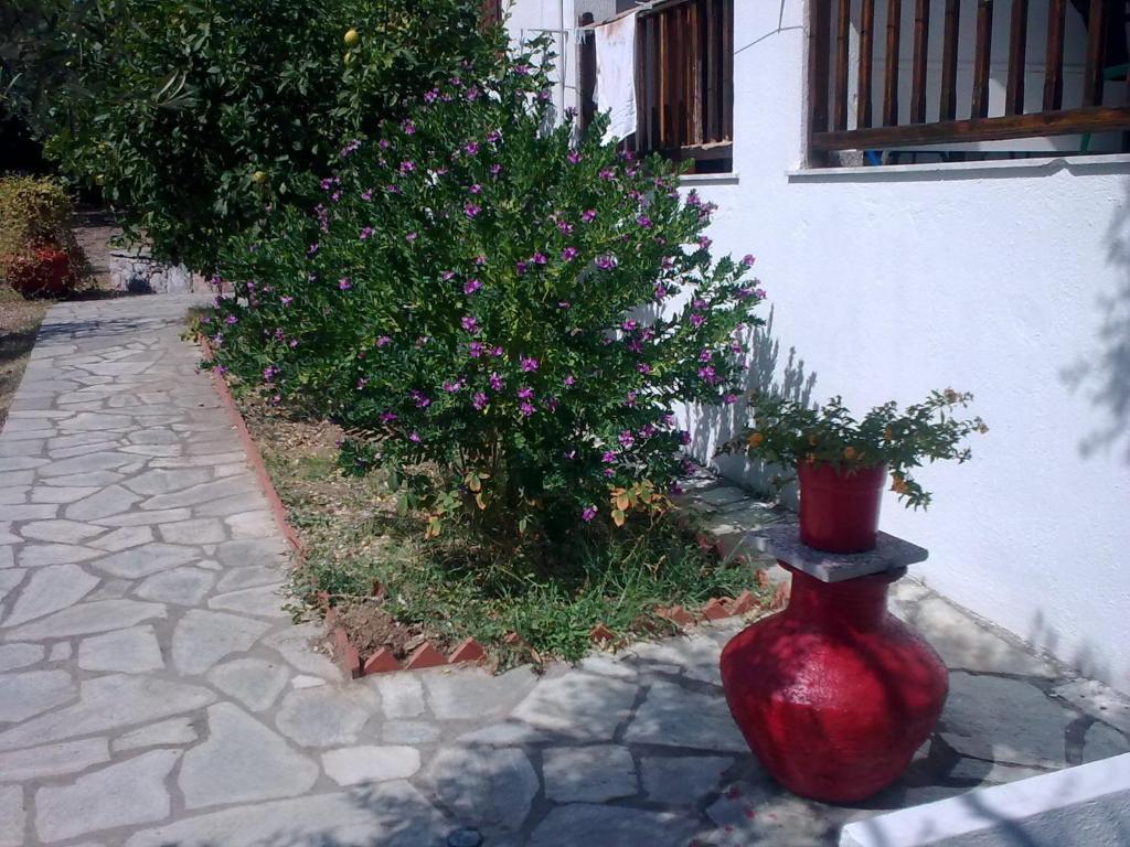 Liossis Rooms and Apartments Σκόπελος Εξωτερικό φωτογραφία